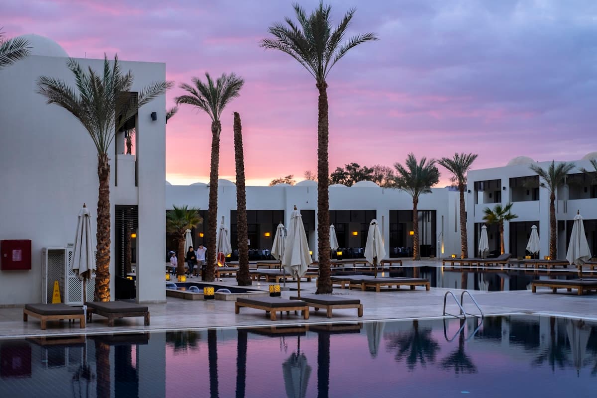 Resort pool terrace with palms at dusk